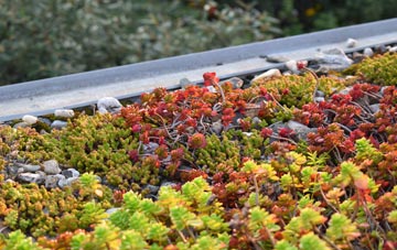 the cost of Ainthorpe green roof installation