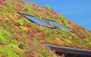 Ainthorpe living roof systems