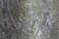 Ainthorpe fibreglass roof work